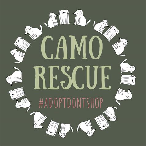 Camo rescue - CAMO Rescue is a nonprofit animal rescue group devoted to rescuing dogs from homelessness and euthanasia. CAMO was founded by Holly Dool in 2014. CAMO Rescue saves animals in Houston, Odessa/ Midland, San Antonio and many other surrounding areas. Spending over $500,000 a year on vetting costs, we save about 1,000 lives every …